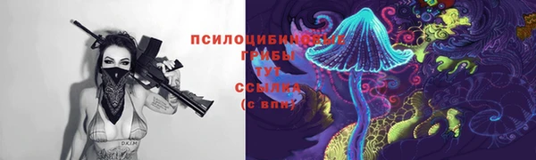 дурь Надым