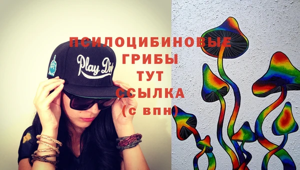 дурь Надым