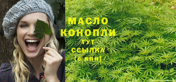 дурь Надым