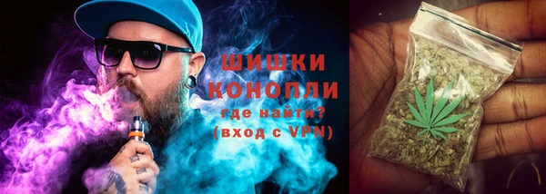 ГАЛЛЮЦИНОГЕННЫЕ ГРИБЫ Нефтегорск