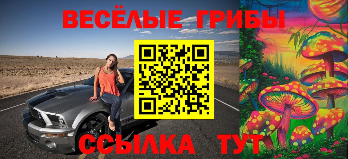 где купить   Вход с VPN  Туймазы  Псилоцибиновые грибы Psilocybine cubensis  Псилоцибиновые грибы Psilocybe 