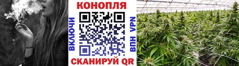 Бошки Шишки марихуана  закладка  Туймазы 